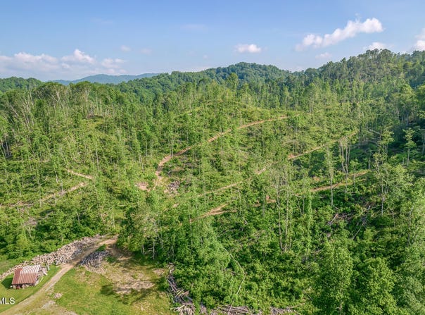 00 Antioch Road, Mountain City, TN 37683