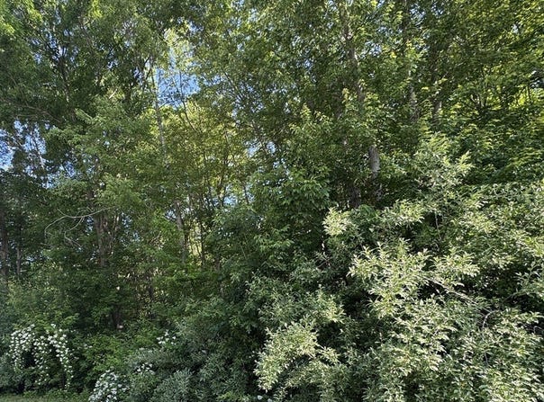 Upland Ave, Webster, MA 01570