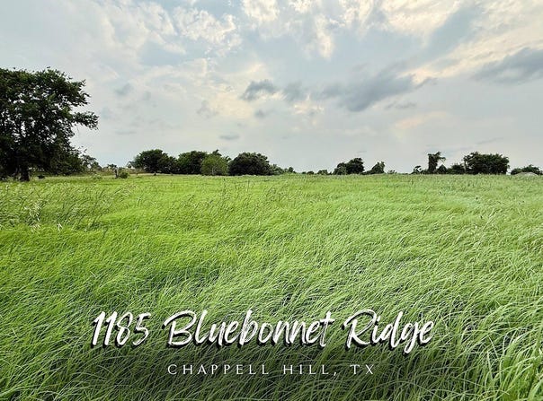 1185 Bluebonnet Ridge Drive, Chappell Hill, TX 77426