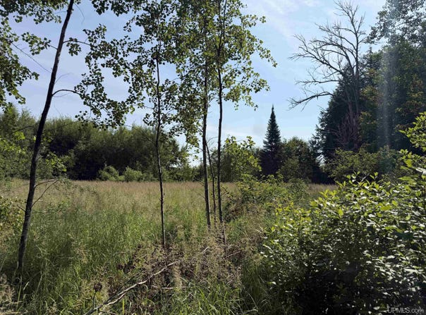 Gristmill Road, Baraga, MI 49908