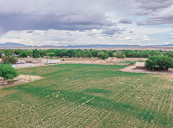 1206 Bosque Farms Boulevard, Bosque Farms, NM 87068
