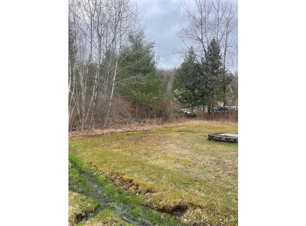 39 Birch Lane, Swan Lake, NY 12783