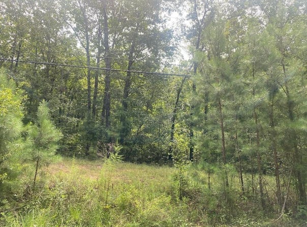 LOT 4 NORTH WALSTON BRIDGE ROAD, Jasper, AL 35504