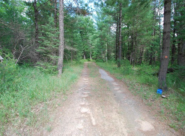 VL Primrose Lane, West Branch, MI 48661