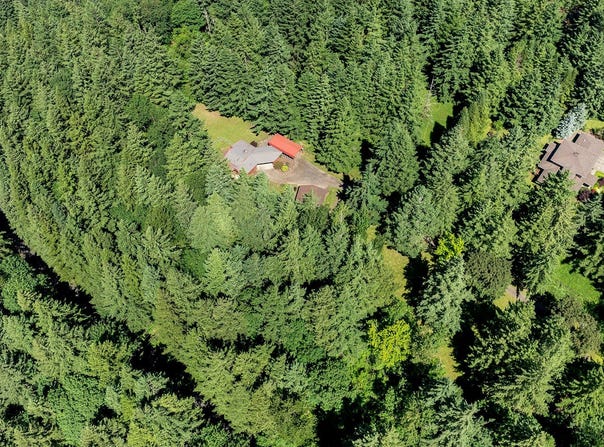 19609 SE WOODED HILLS DR, Damascus, OR 97089