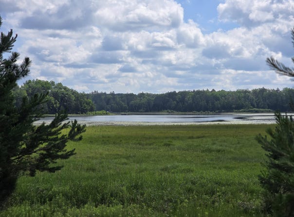 off McCollum Lake Road, Curran, MI 48728