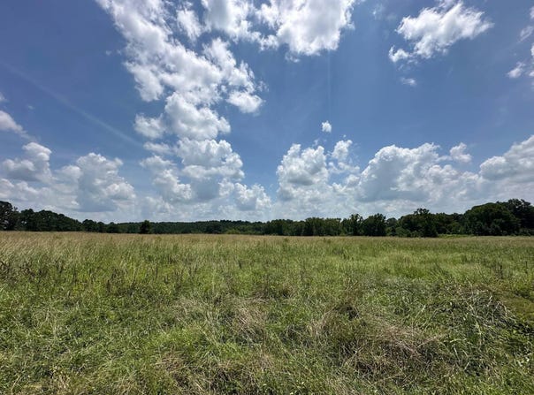 2 County Road 347, Philadelphia, MS 39350