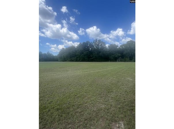 1529 Elbert Taylor Road, Pelion, SC 29123