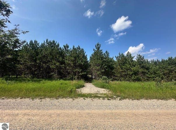 7304 Hemstreet Road, Bellaire, MI 49615