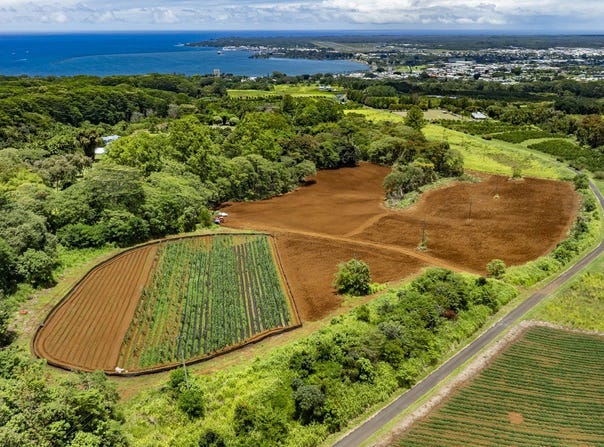 1436 MAIKALANI ST, Hilo, HI 96720