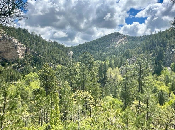 20582 Whitewood Creek Road, Spearfish, SD 57783