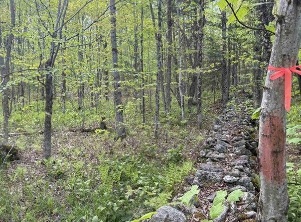 Potter Road, Lowell, VT 05847