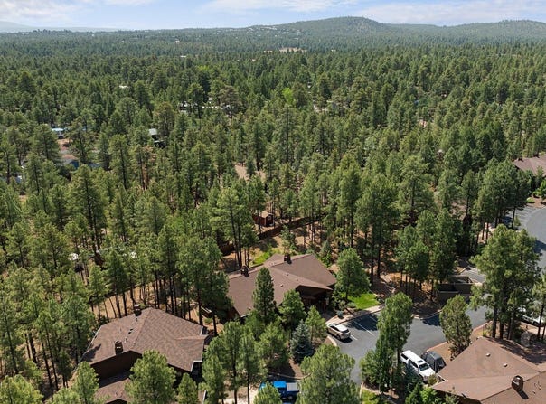 491 S Spirea Lane, Show Low, AZ 85901