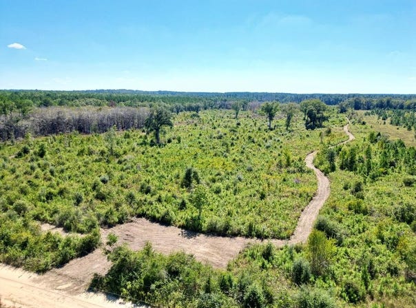 Cal Thomas Road, Whigham, GA 39897
