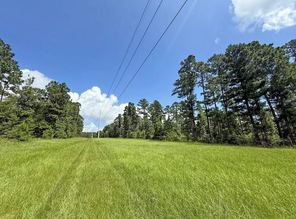 TBD TX-204, Cushing, TX 75760