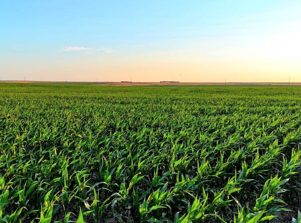 TBD 300th Ave, Nekoma, KS 67559