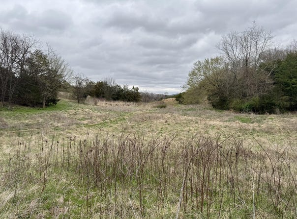 2424 Freshour Hollow Road Road, Parrottsville, TN 37843