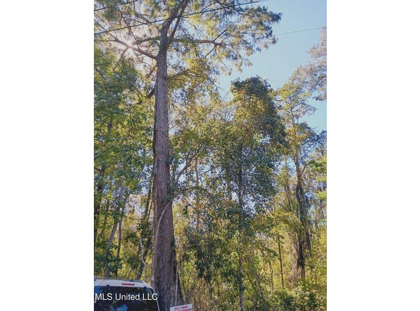 Riverroad Drive, Gulfport, MS 39503