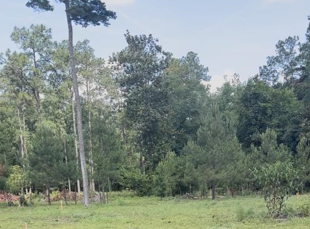 4914 Old Federal Road, Quincy, FL 32351