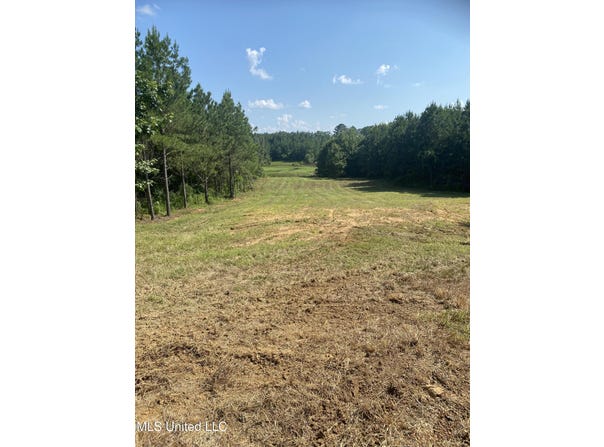 448 Attala Rd 4005, Goodman, MS 39079