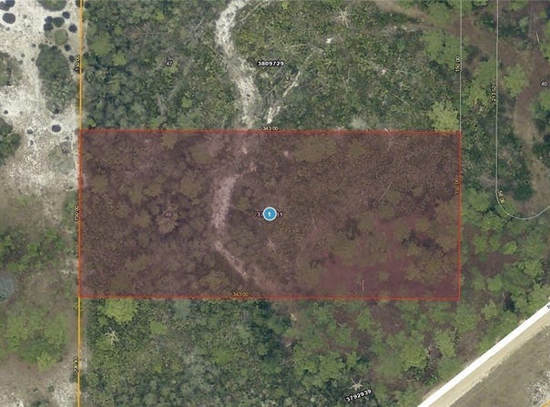 28-17-28-0004-000-03100 Buck Run Drive, Paisley, FL 32767