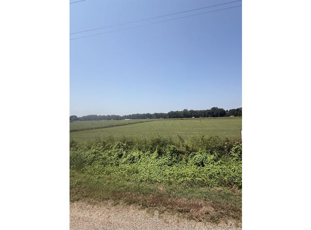 Steed Road, Bradford, AR 72120-0000