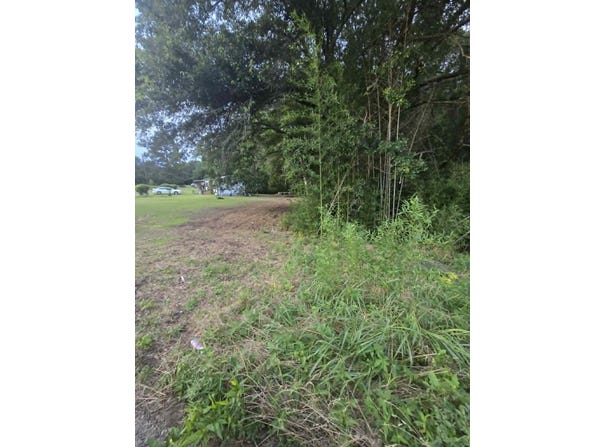 W Hwy 49, Daingerfield, TX 75638