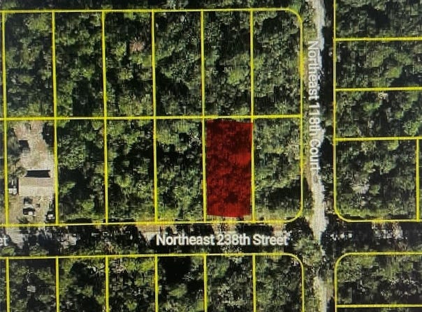 NE 238TH STREET, LOT 11, FORT MC COY, FL 32134