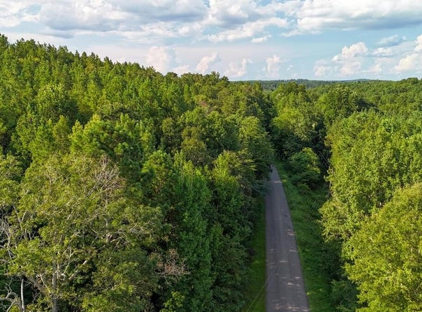 COUNTY ROAD 63 N, Carbon Hill, AL 35549
