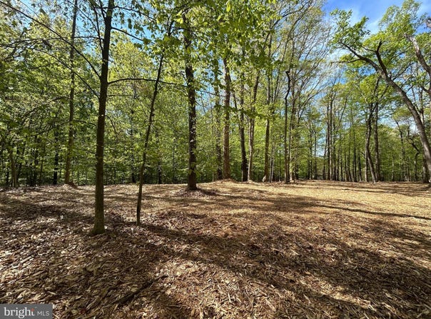 12636 MILL DAM DRIVE, CLIFTON, VA 20124