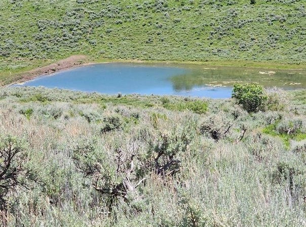 Divide (Mont's Draw) Road, Gateway, CO 81522