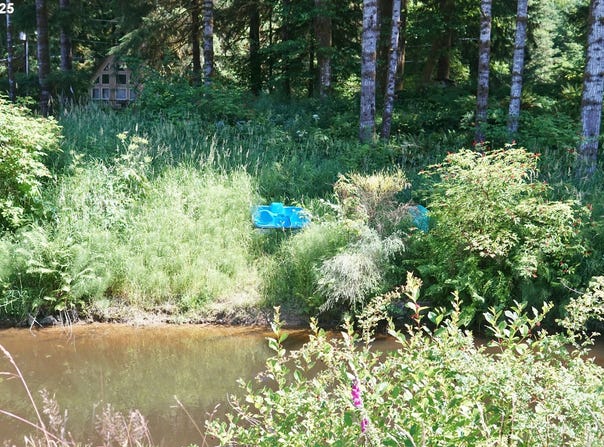 9965 BEACH DR, Birkenfeld, OR 97016