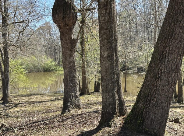 Lot 12 Coon Bottom Estates, Ponce De Leon, FL 32455