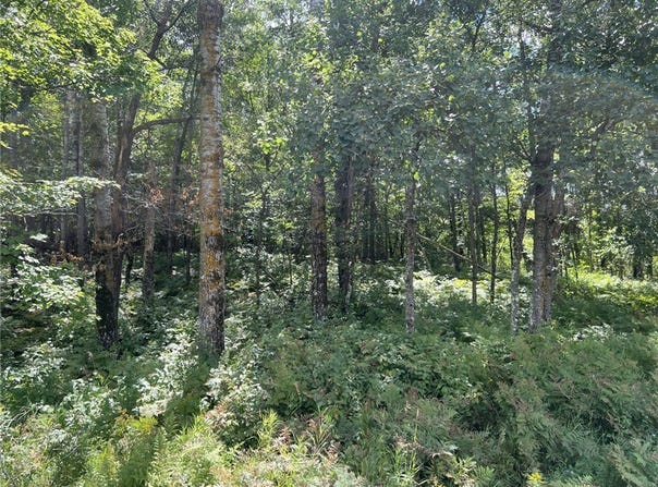 Tollander Rd, Siren, WI 54872
