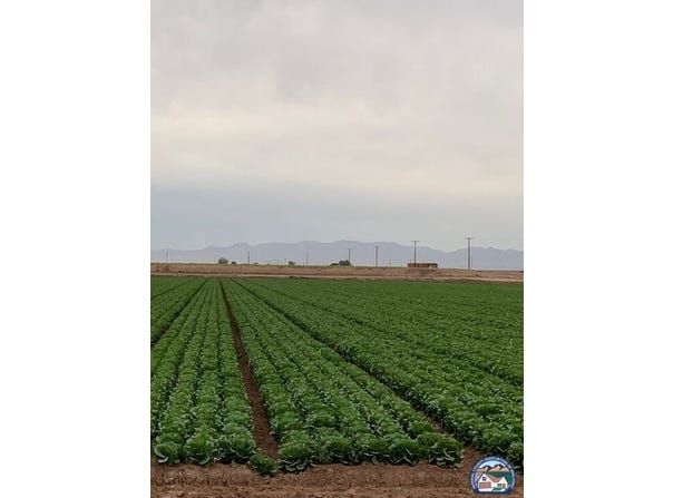 453 E Abatti Rd, Heber, CA 92249