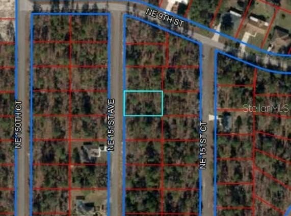 NE 151ST AVENUE, WILLISTON, FL 32696