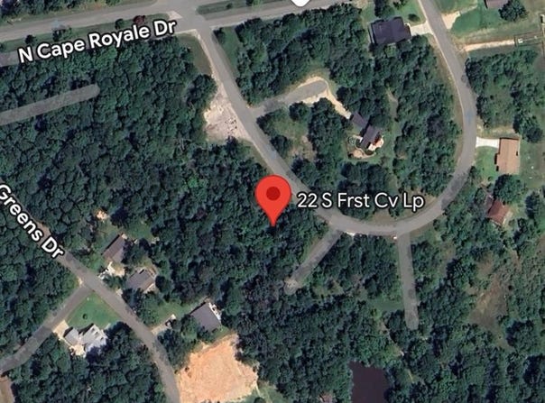 22 S Forest Cove Loop, Coldspring, TX 77331