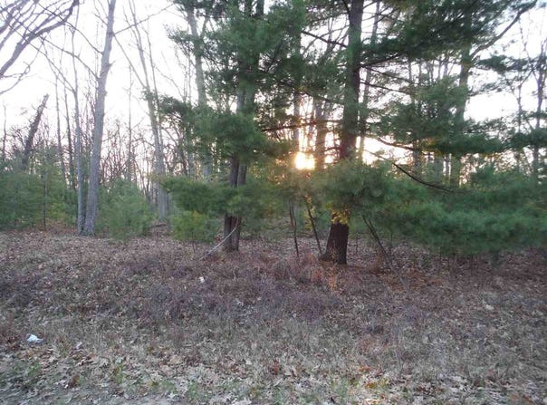 Indian Oaks Lot 2, Prudenville, MI 48651