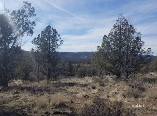 4.33 +/- Adres off Pencil Rd., Alturas, CA 96101