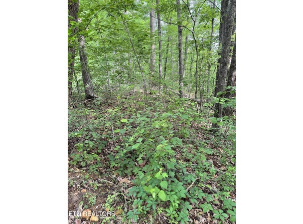 Prettiest Sunset Lot #5 Way, Seymour, TN 37865