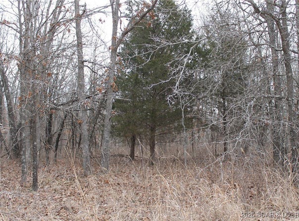 Ritchie Lane, Edwards, MO 65326
