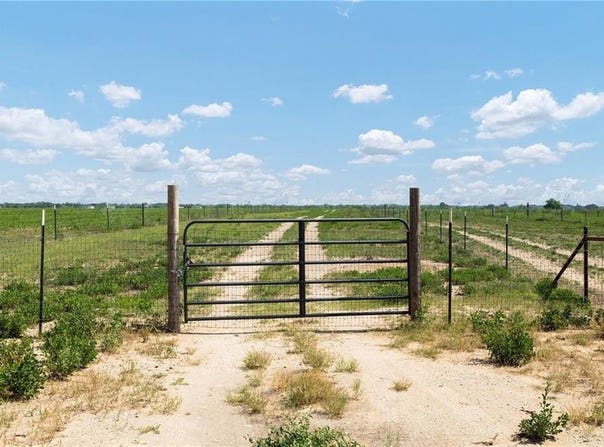 17449 La Coma Service Road, Edinburg, TX 78541