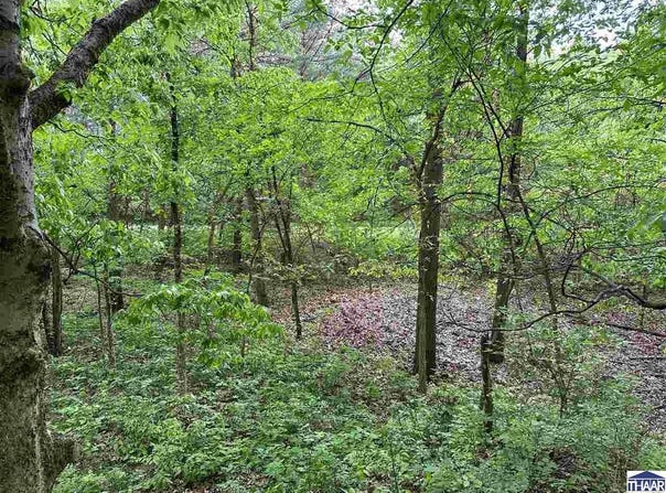 Lot #1 N Cory Staunton Road, Brazil, IN 47834