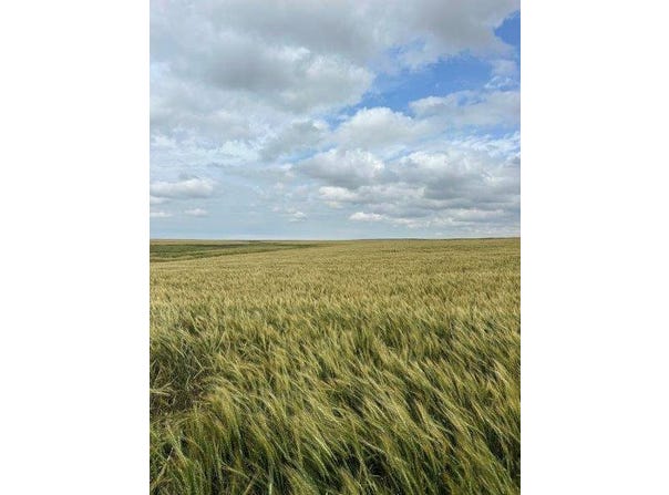 000 232 Rd, Burdett, KS 67523