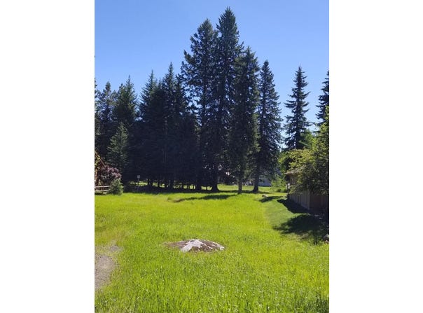 Divot Lane, McCall, ID 83638
