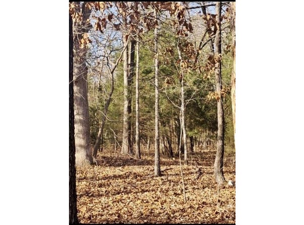 41 Winnebago, Cherokee Village, AR 72529
