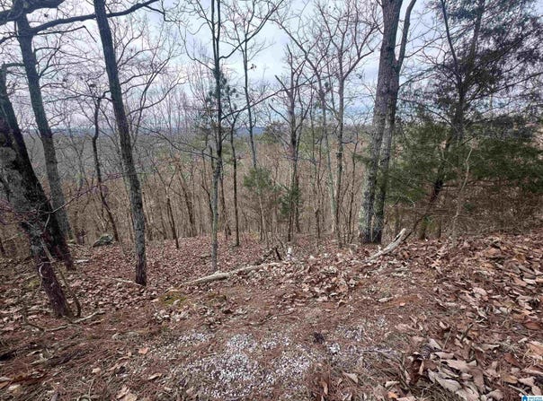 LONG LEAF TRAIL lot: 1, WARRIOR, AL 35180