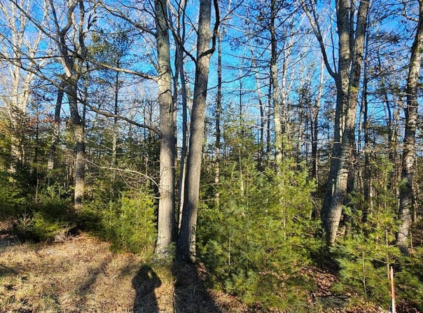 Lot 57.1 Yulan-Barryville Rd, Highland, NY 12791