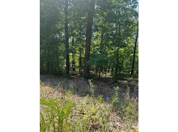 TBD Glemsford  DR, Bella Vista, AR 72714