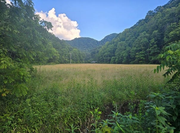 Tbd Lickbranch Road, North Tazewell, VA 24630